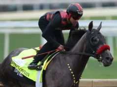 Kentucky Derby: jóqueis muito altos