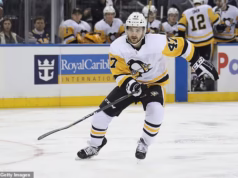 Os paramédicos que responderam à lesão fatal no pescoço do astro do hóquei no gelo Adam Johnson durante uma partida foram forçados a escalar barreiras para chegar até ele em uma ‘cena caótica’, ouviu um inquérito.