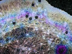 Cientistas descobrem “ar” escondido dentro das células que pode explicar a propagação do câncer