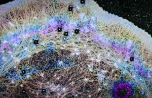 Cientistas descobrem “ar” escondido dentro das células que pode explicar a propagação do câncer