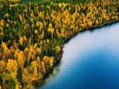 Um “mundo perdido” sob o Mar do Norte já foi cheio de florestas