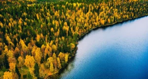 Um “mundo perdido” sob o Mar do Norte já foi cheio de florestas