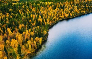 Um “mundo perdido” sob o Mar do Norte já foi cheio de florestas