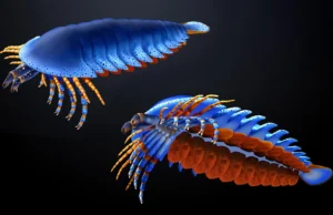 Esta pequena garra de um fóssil de 500 milhões de anos acaba de reescrever a origem das aranhas