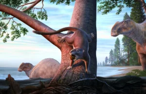 Este minúsculo mamífero sobreviveu ao apocalipse dos dinossauros e mudou a vida na Terra