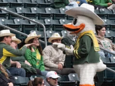 Duck baseball perde um jogo selvagem para Illinois ao empatar a série