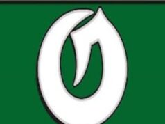 Voleibol masculino do ensino médio: Olympus conquistou uma vitória por 3 sets sobre Brighton