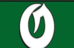 Voleibol masculino do ensino médio: Olympus conquistou uma vitória por 3 sets sobre Brighton