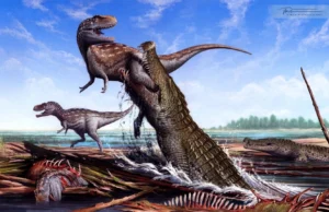 Este “crocodilo terrorista” de 31 pés comeu dinossauros. Agora está de volta