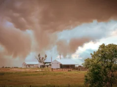 Uma toxina transportada pelo ar incomum foi detectada nos EUA pela primeira vez