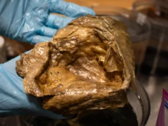 Os cientistas finalmente resolveram o mistério da estranha “orbe dourada” encontrada a 3 quilômetros de profundidade