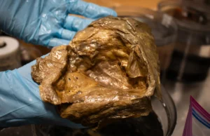 Os cientistas finalmente resolveram o mistério da estranha “orbe dourada” encontrada a 3 quilômetros de profundidade