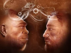 Descoberta de 110.000 anos reescreve a história humana: Neandertais e Homo sapiens trabalharam juntos