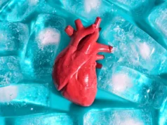 Cientistas descobriram como congelar órgãos transplantados sem rompê-los