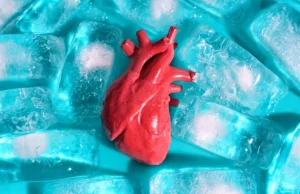 Cientistas descobriram como congelar órgãos transplantados sem rompê-los