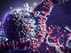 Este truque simples de 3 aminoácidos aumenta a terapia com mRNA em 20 vezes