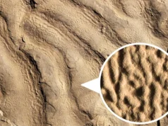 Estranhas rochas de “pele de elefante” revelam vida antiga em oceanos escuros