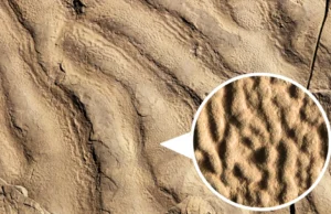 Estranhas rochas de “pele de elefante” revelam vida antiga em oceanos escuros