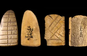 Dados de ossos antigos revelam 12.000 anos de história do jogo nas Américas