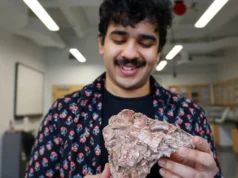 Um fóssil esmagado revelou um dinossauro que nunca existiu