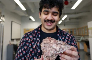 Um fóssil esmagado revelou um dinossauro que nunca existiu