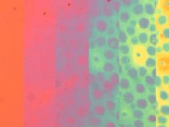 Cientistas de Stanford criam material que muda de forma e muda de cor e textura como um polvo