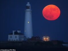 Olhe esta noite! Uma lua cheia aparecerá no céu noturno esta noite – esta é a melhor hora para vê-la