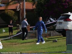 Grande atualização após triplo assassinato ‘horrível’ em Sydney – Polícia revela arma que acredita ter sido usada