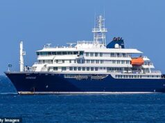 À medida que a busca global por passageiros de navios com vírus de roedores continua, estamos respondendo às maiores questões sobre o surto de hantavírus…