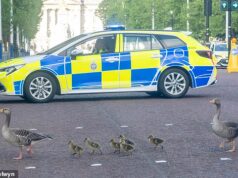 Se quiser passar… é só buzinar! O fotógrafo tirou fotos da escolta policial ajudando a família de Geese a atravessar o shopping