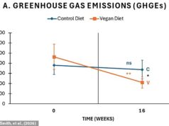Hora de abandonar o hambúrguer? Seguir uma dieta vegetariana reduz as emissões de gases de efeito estufa em 55%, mostram estudos