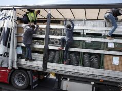 Sue Reid: Imigrantes ilegais estão deixando a Grã-Bretanha em caminhões – porque suas doações não são suficientes para comprar cerveja e cigarros