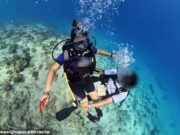 Turista dos EUA ‘expõe’ instrutora de mergulho que ele filmou ‘tocando-a de forma inadequada’ enquanto estava debaixo d’água no Egito