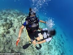 Turista dos EUA ‘expõe’ instrutora de mergulho que ele filmou ‘tocando-a de forma inadequada’ enquanto estava debaixo d’água no Egito