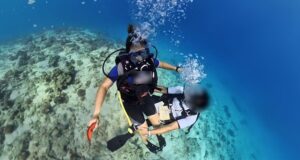 Turista dos EUA ‘expõe’ instrutora de mergulho que ele filmou ‘tocando-a de forma inadequada’ enquanto estava debaixo d’água no Egito