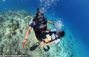 Turista dos EUA ‘expõe’ instrutora de mergulho que ele filmou ‘tocando-a de forma inadequada’ enquanto estava debaixo d’água no Egito
