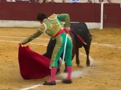 Um matador de destaque do momento foi esmagado quando uma multidão em pânico recuou durante uma tourada na Espanha, ferindo-o gravemente.