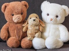Um em cada quatro britânicos sensíveis não consegue se livrar do ursinho de infância
