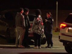 Homem de 20 anos preso dentro de carro após se afogar em Audley Wire, no Royal National Park