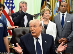 O Irã zomba de Trump por cancelar seu ‘fiasco do Projeto Liberdade’ em 48 horas – desde que um navio porta-contêineres francês atacou enquanto transitava pelo Estreito de Ormuz