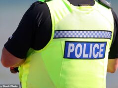 Policial britânico ‘lança grande operação depois que Dutch acredita que sua ex-mulher pretende matá-lo durante alucinações com maconha’