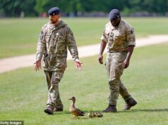 Viva Dana! Um soldado afasta um pato da linha de fogo enquanto uma salva de tiros marca o terceiro aniversário da coroação do rei Charles.