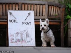 É o cachorro na seção eleitoral! A melhor foto para os eleitores tirarem com seus amigos de quatro patas para votar nas eleições locais