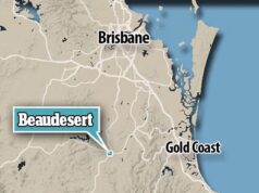 Beaudesert, Queensland: Criança deixada para lutar pela vida após cachorro morder pescoço