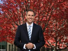 O tesoureiro Jim Chalmers confirma ganho fiscal para proprietários australianos no orçamento – mas nem todos serão poupados