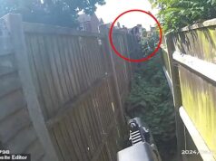 Momento em que o traficante que inundou uma cidade litorânea com cocaína no valor de £ 1,3 milhão foge pelos jardins para escapar da polícia armada