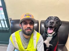 Adorável cachorrinho reencontra o dono 15 meses depois que incêndios florestais em Los Angeles destruíram sua casa