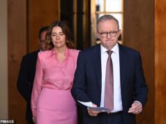 A proposta de Pauline Hanson à Coalizão deveria fazer Anthony Albanese suar sob o colarinho