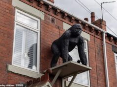Luta de gorila! Proprietário será multado em £ 20.000 se se recusar a remover a estátua de um macaco de mais de um metro acima de sua porta