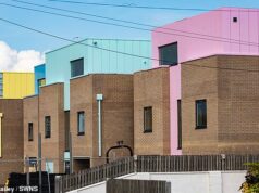 Moradores criticaram casas recém-construídas que ‘parecem peças de Lego’ e ‘não inclusivas’ em sua vila à beira-mar